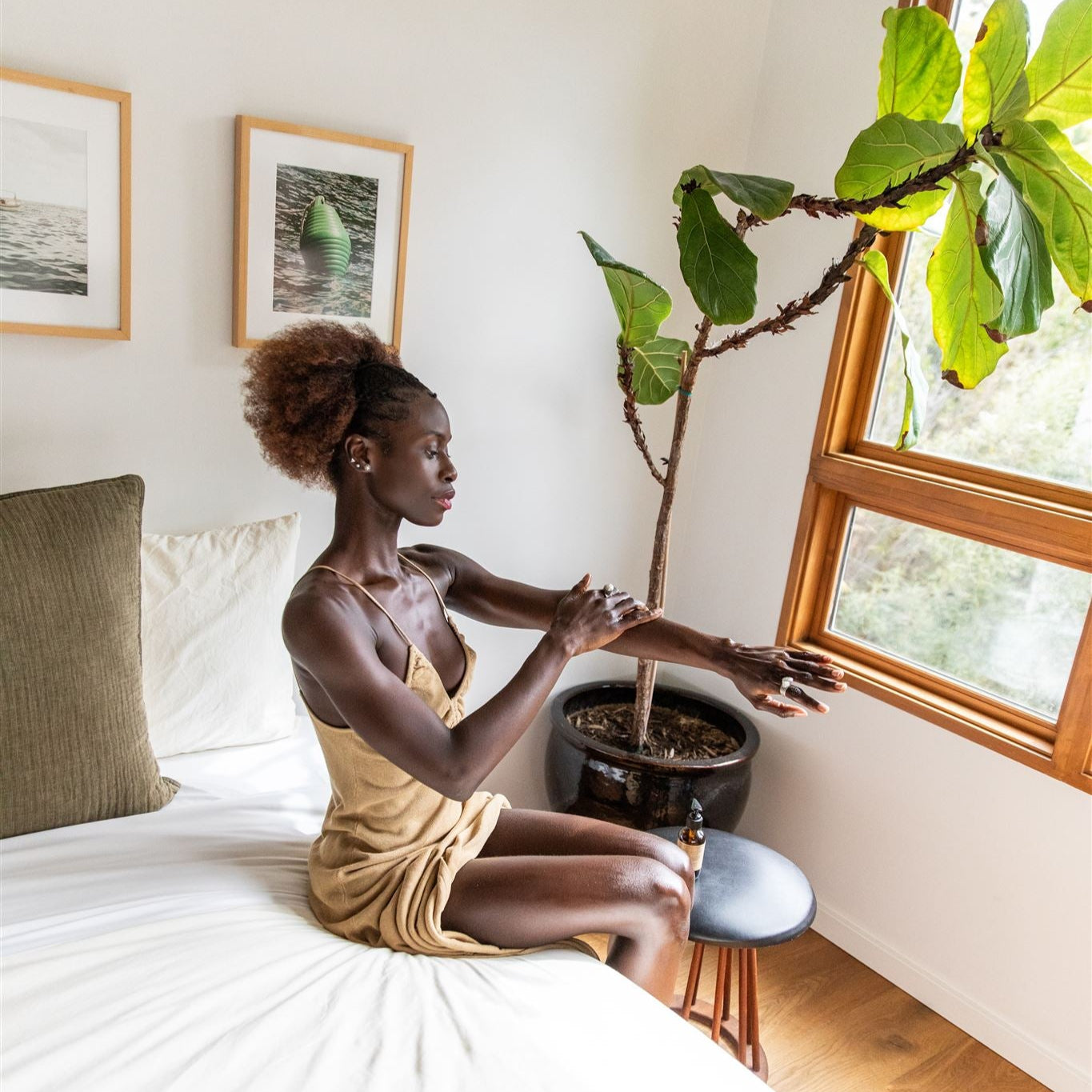 Tridoshic Body Oil : Balancing Ayurvedic Abhyanga Oil for All Skin Types & Doshas