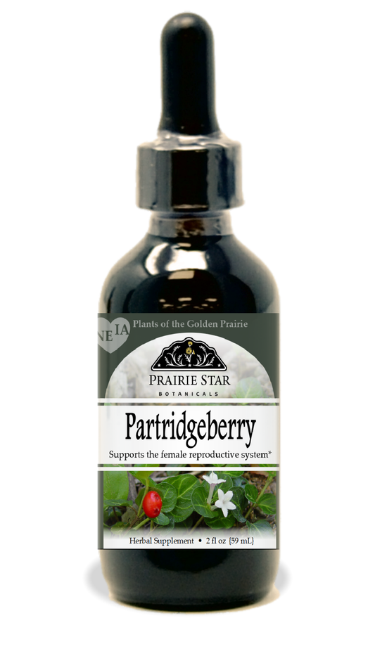 Partridgeberry Tincture