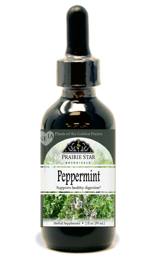 Peppermint Tincture or Glycerite