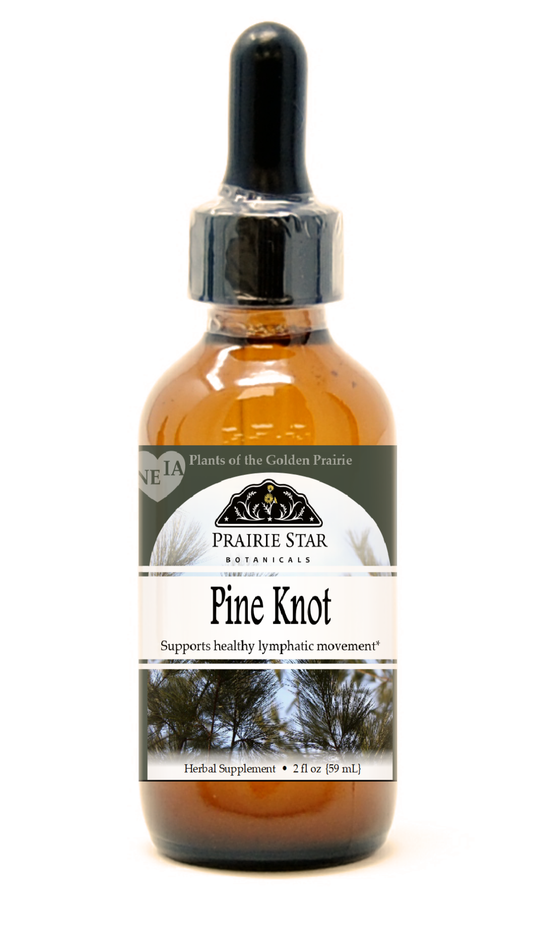 Pine Knot Tincture