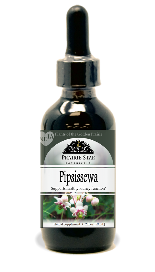 Pipsissewa Tincture