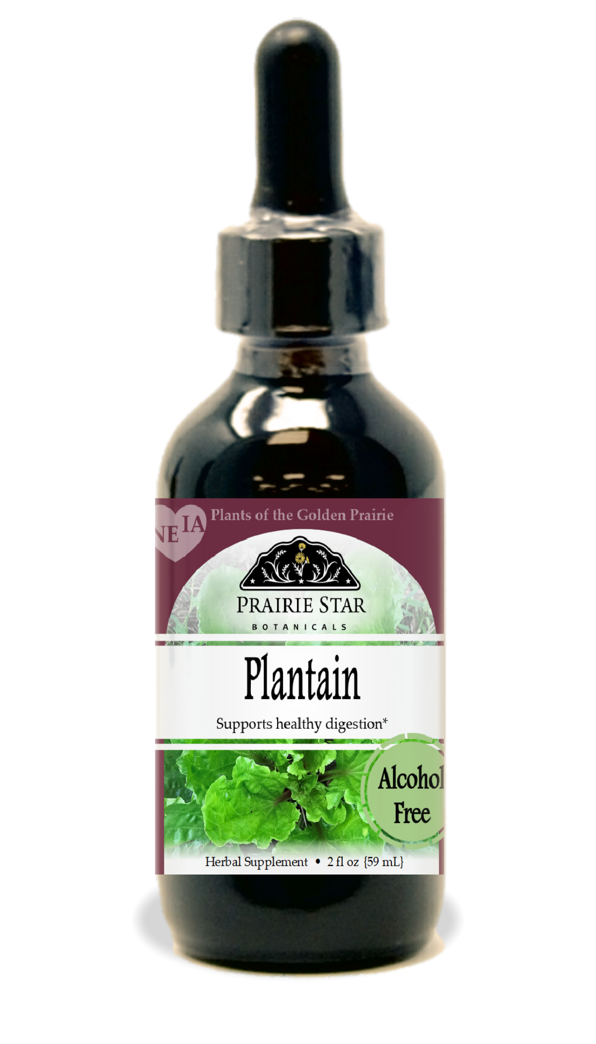 Plantain Tincture or Glycerite