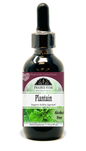 Plantain Tincture or Glycerite