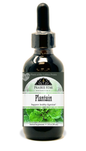 Plantain Tincture or Glycerite