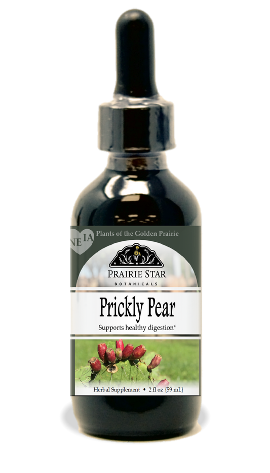Prickly Pear Tincture