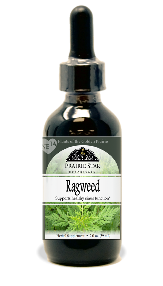 Ragweed Tincture