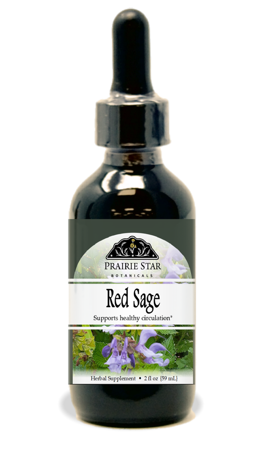 Red Sage Root Tincture