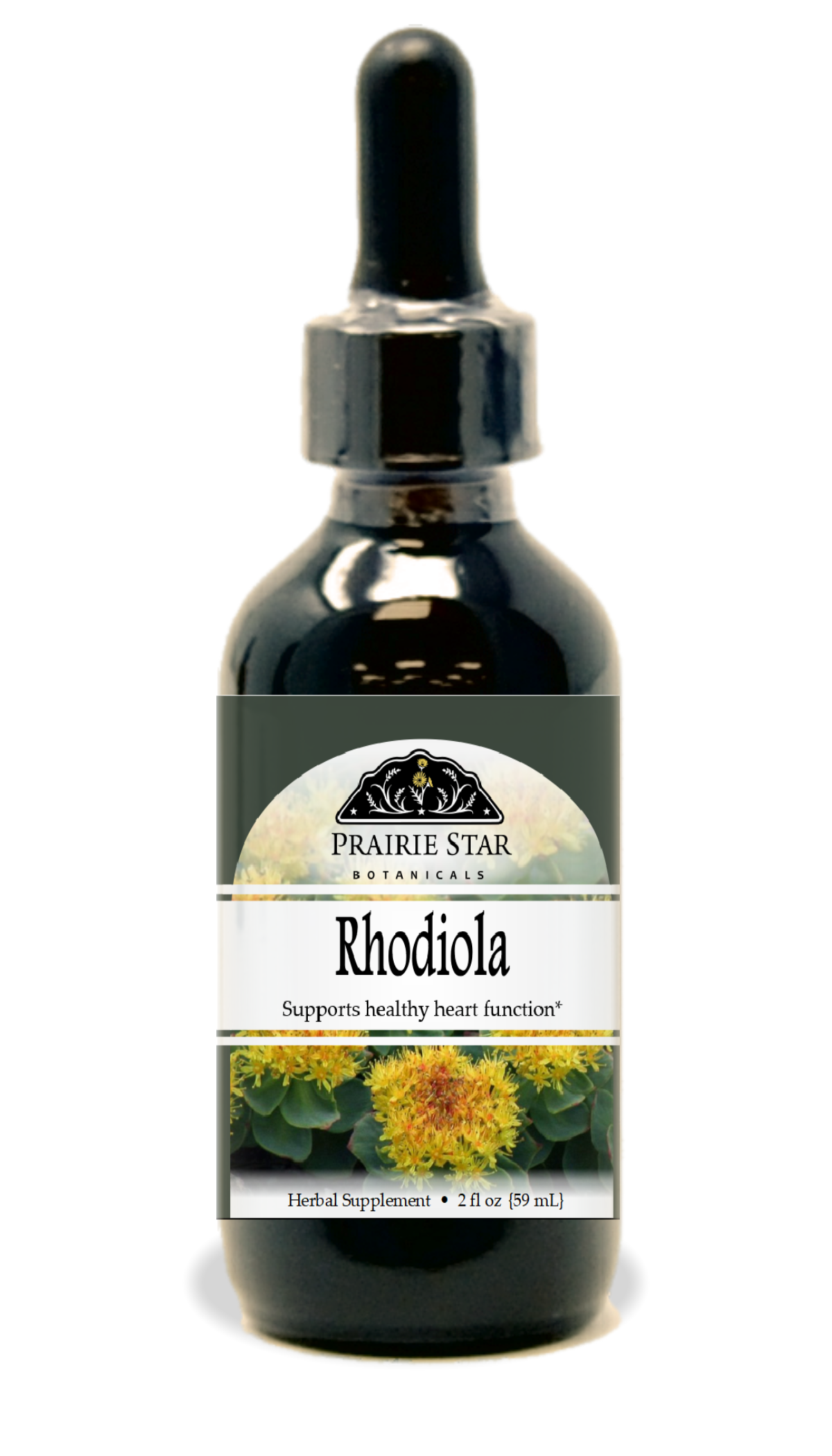 Rhodiola Tincture or Glycerite