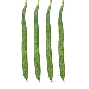 Ridge gourd-Rishi