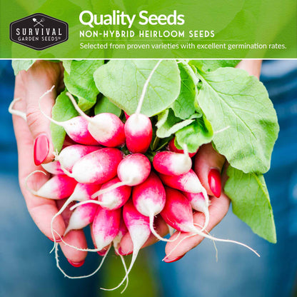 Root Vegetable Seed Collection - Cool Weather Favorites