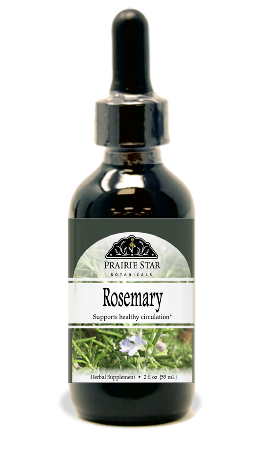 Rosemary Tincture or Glycerite