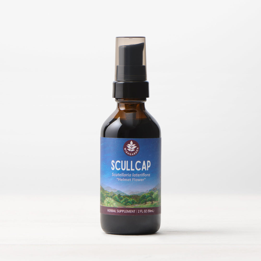 Scullcap Simple