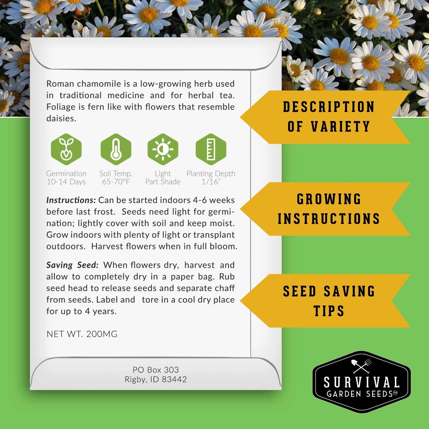 10-Variety Heirloom Flower Seed Collection – Non-GMO Annuals & Perennials for Colorful, Pollinator-Friendly Gardens