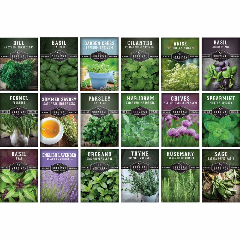 18 Culinary Herb Seed Collection - Favorite Herbs for Cooking
