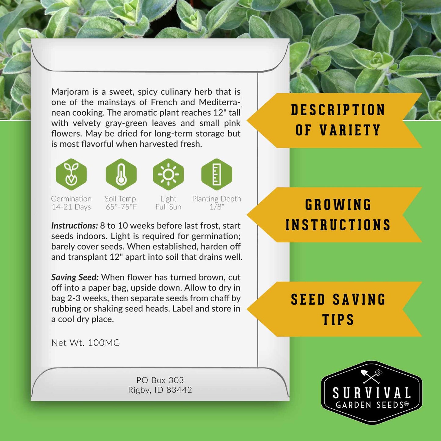 18 Culinary Herb Seed Collection - Favorite Herbs for Cooking
