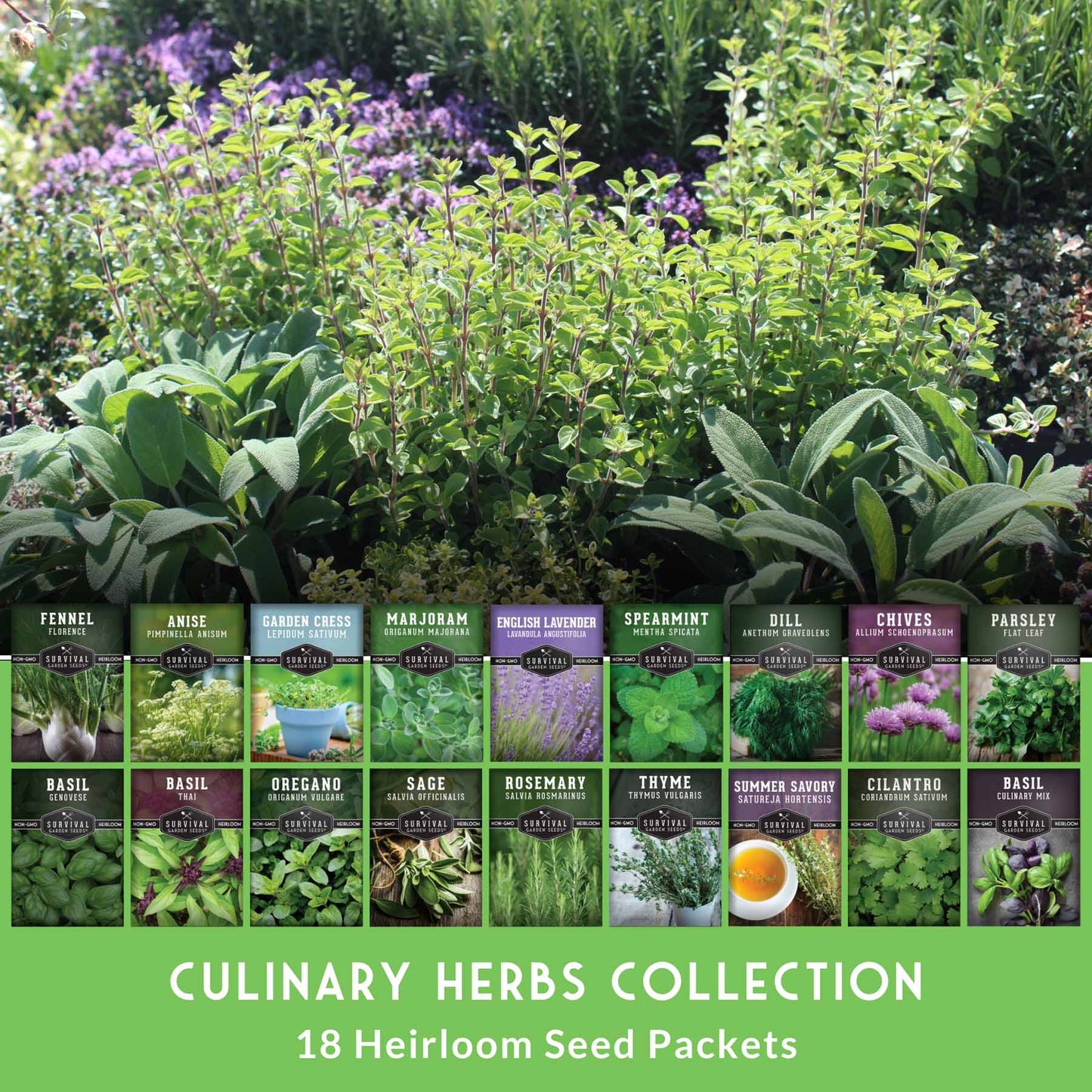 18 Culinary Herb Seed Collection - Favorite Herbs for Cooking