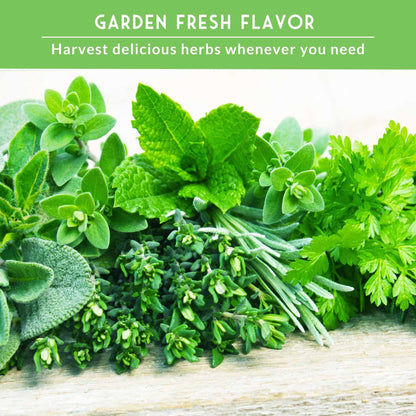 18 Culinary Herb Seed Collection - Favorite Herbs for Cooking