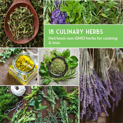 18 Culinary Herb Seed Collection - Favorite Herbs for Cooking