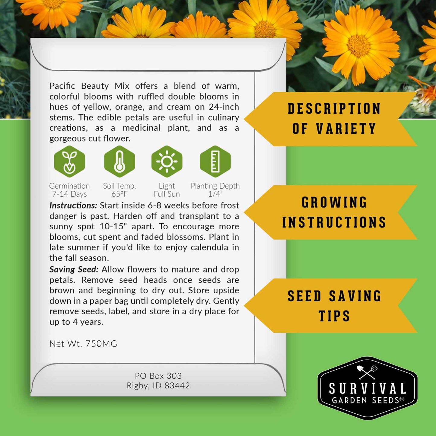 Calendula Seed Collection - 4 Variety Mix