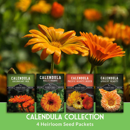 Calendula Seed Collection - 4 Variety Mix