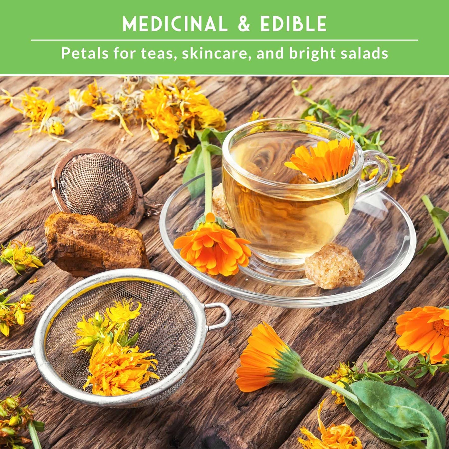 Calendula Seed Collection - 4 Variety Mix