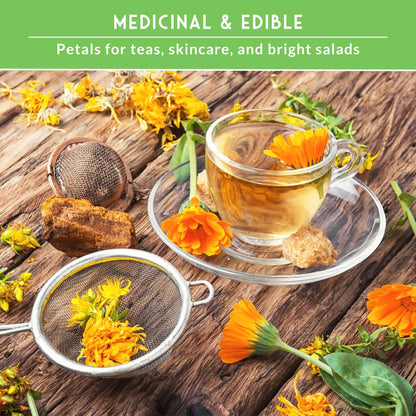Calendula Seed Collection - 4 Variety Mix