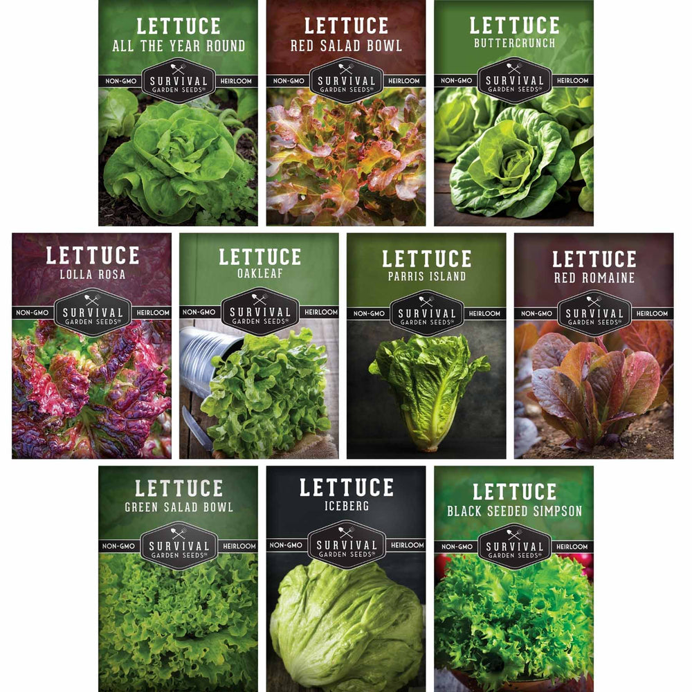 Lettuce Seeds 10 Variety Heirloom Collection - Year-Round Salad Garden