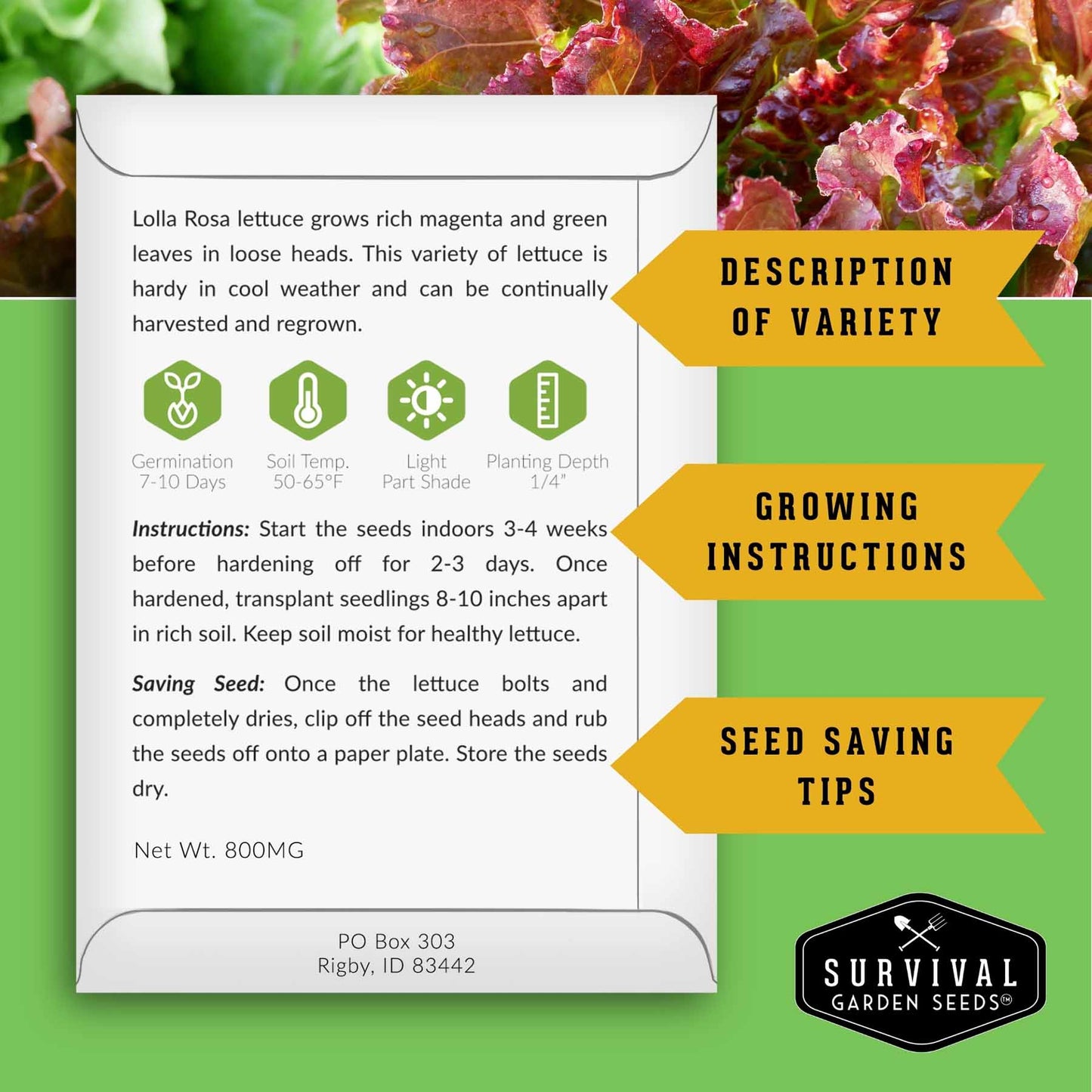 Lettuce Seeds 10 Variety Heirloom Collection - Year-Round Salad Garden
