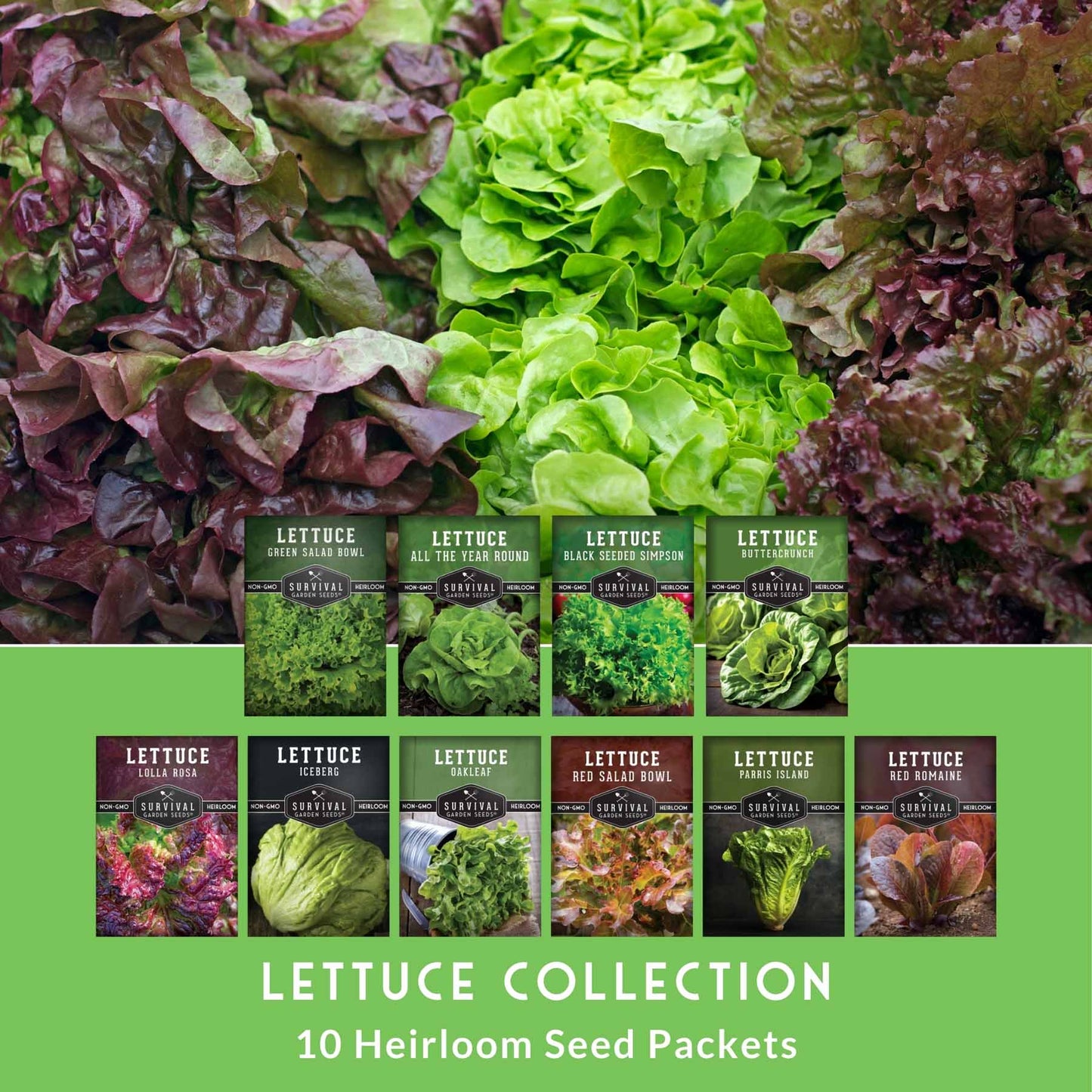 Lettuce Seeds 10 Variety Heirloom Collection - Year-Round Salad Garden