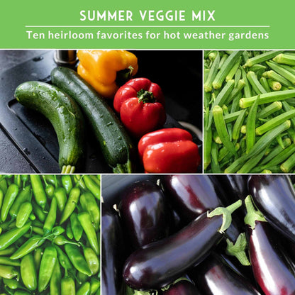 Summer Vegetable Collection - 10 Hot Weather Vegetables