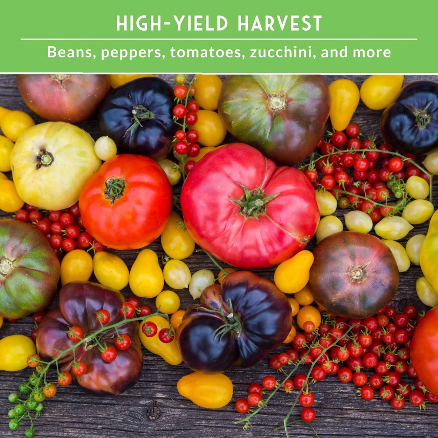 Summer Vegetable Collection - 10 Hot Weather Vegetables