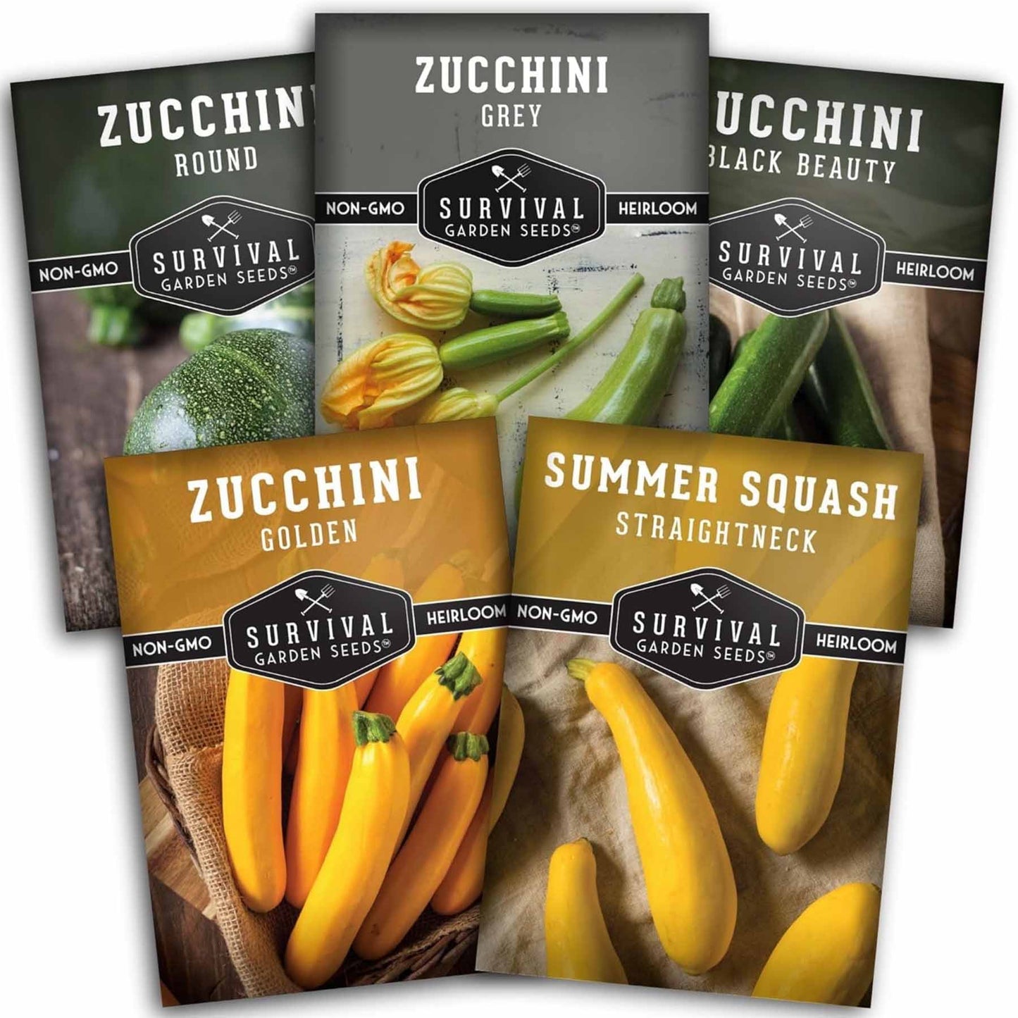 Zucchini & Squash Collection - Golden, Round, Black Beauty, Straight Neck Summer Squash