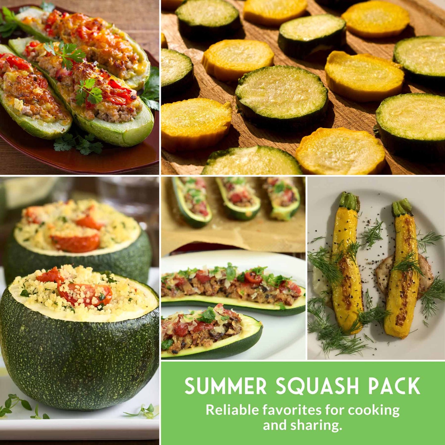 Zucchini & Squash Collection - Golden, Round, Black Beauty, Straight Neck Summer Squash