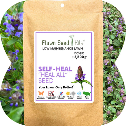Self-Heal (Prunella Vulgaris) Seed Pouch