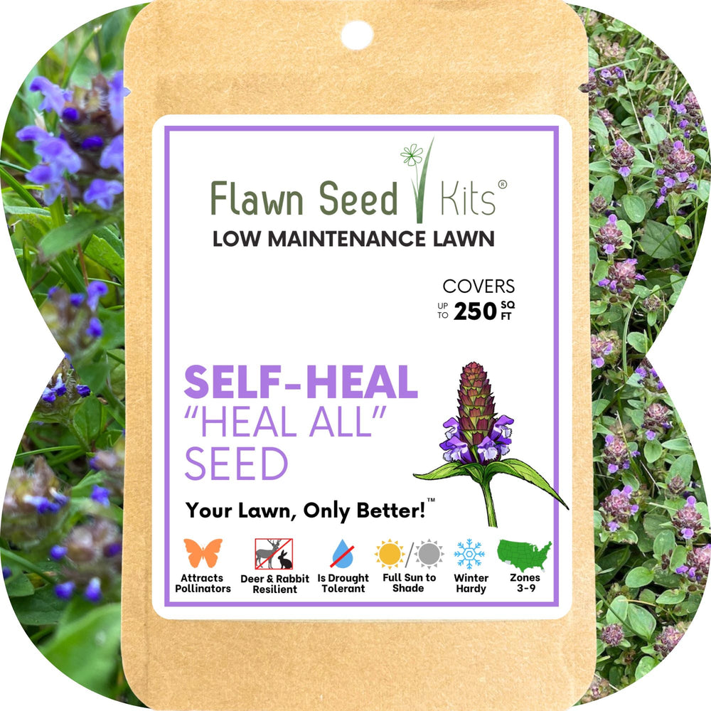 Self-Heal (Prunella Vulgaris) Seed Pouch