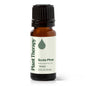 Scots Pine Essential Oil