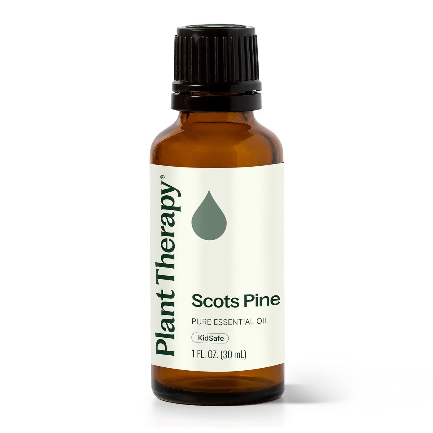 Scots Pine Essential Oil