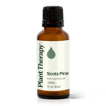 Scots Pine Essential Oil