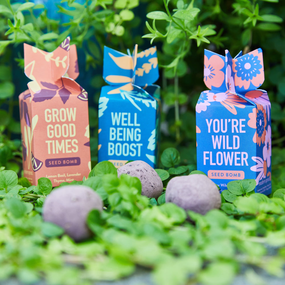 Seed Bombs