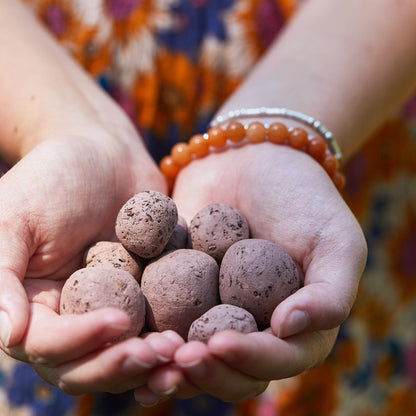 Seed Bombs