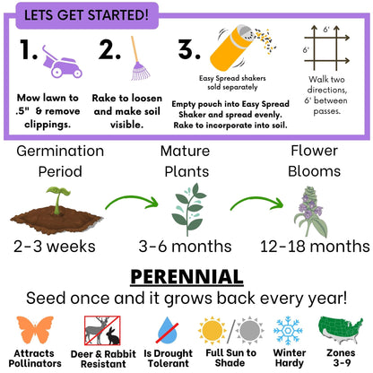 Self-Heal (Prunella Vulgaris) Seed Pouch