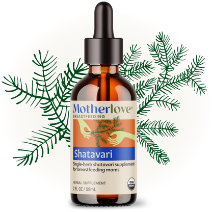 Shatavari - Tincture