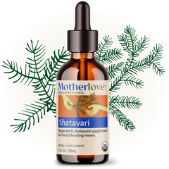 Shatavari - Tincture
