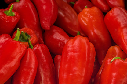 60 Red Marconi Pepper (Capsicum Annuum) Seeds
