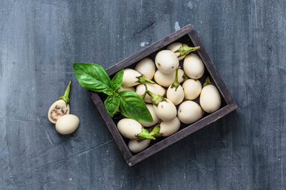 30 Easter Egg Plant (Ornamental Eggplant; Solanum Ovigerum) Seeds