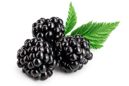 50 Black Raspberry (Rubus Leucodermis) Seeds