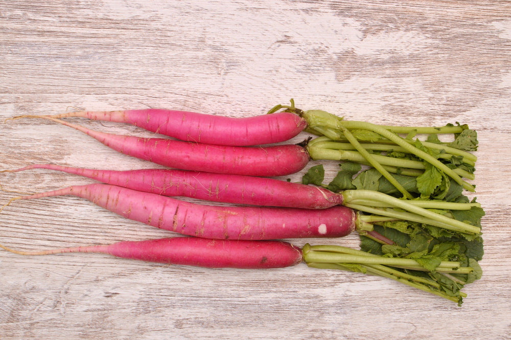 Pink Summersicle Radish (Raphanus sativus) Seeds – 100 ct