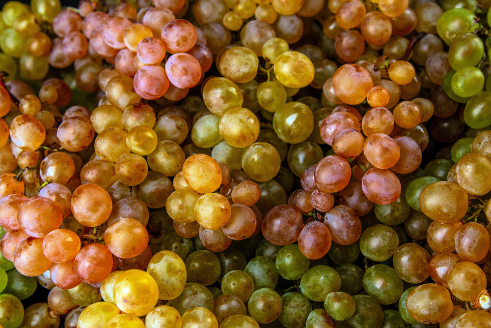 30 Wine Grape (Vitis Viniferia) Seeds