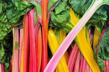 150 Mixed Colors Northern Lights Swiss Chard (Beta Vulgaris Cicla) Seeds
