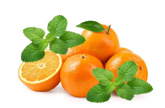 Mandarina Lemon Balm (Melissa officinalis) Seeds – 25 ct